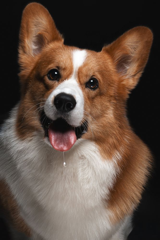 Photograph by Kristina Kazlauskaitė