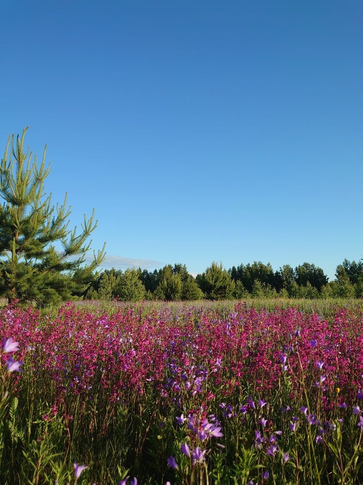 Photograph by Наталия Игоревна