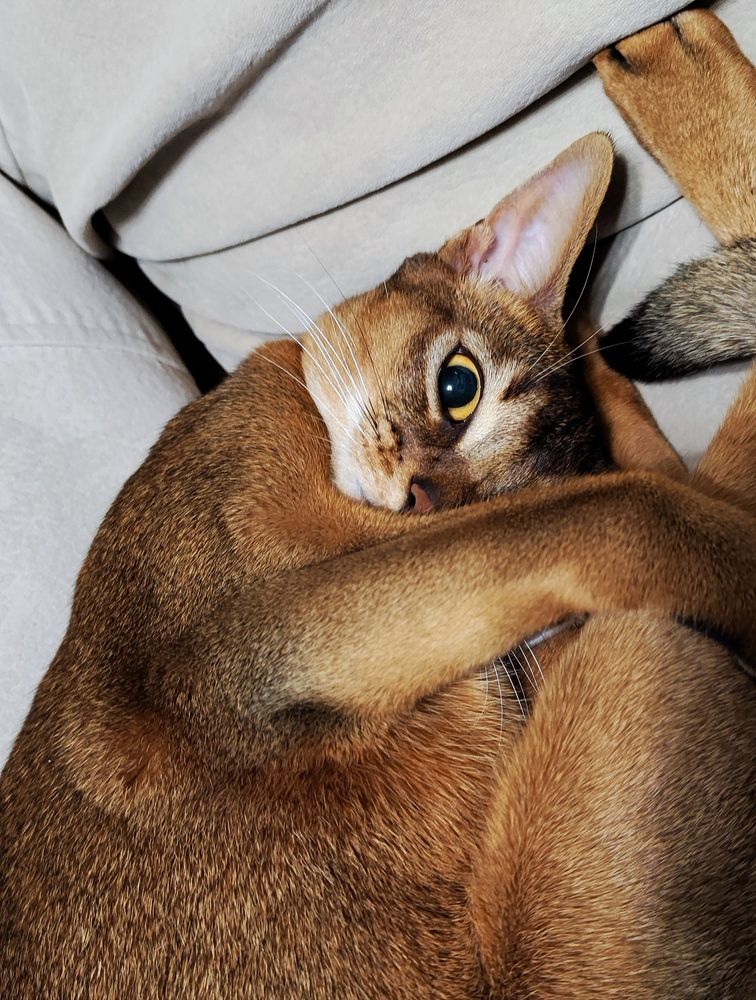 Photograph by Ольга