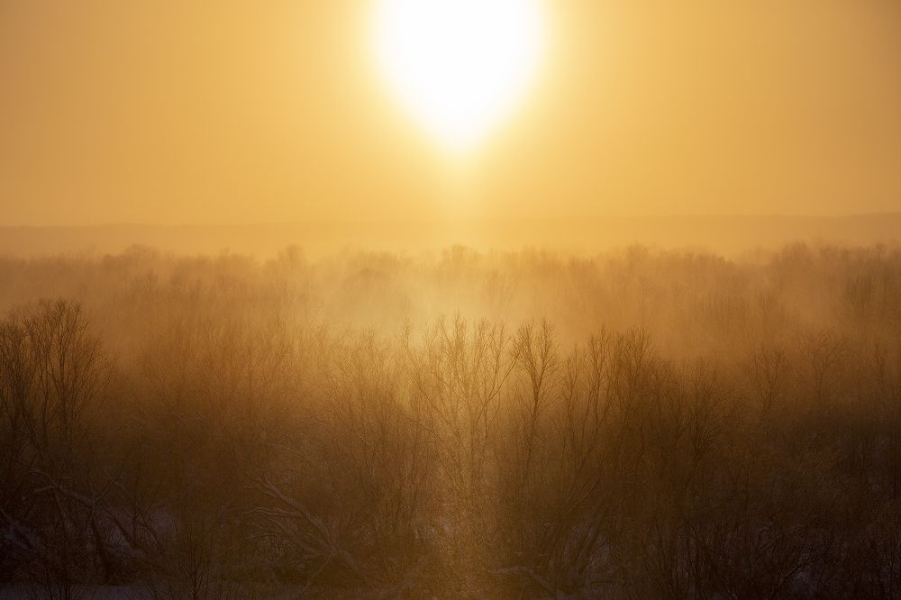 В январском золоте