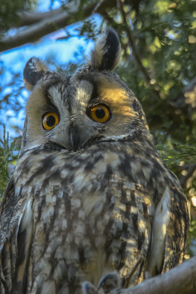 Photograph by Mircea Sirbu