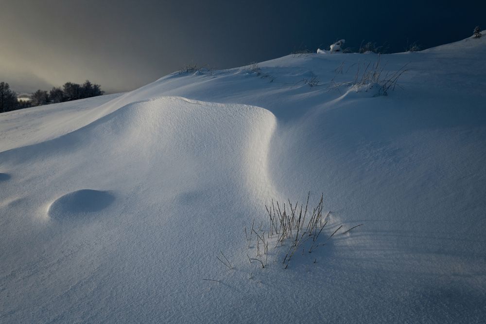 Curve | Кривая. 2023