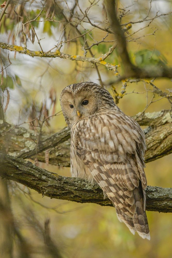 Photograph by Mircea Sirbu