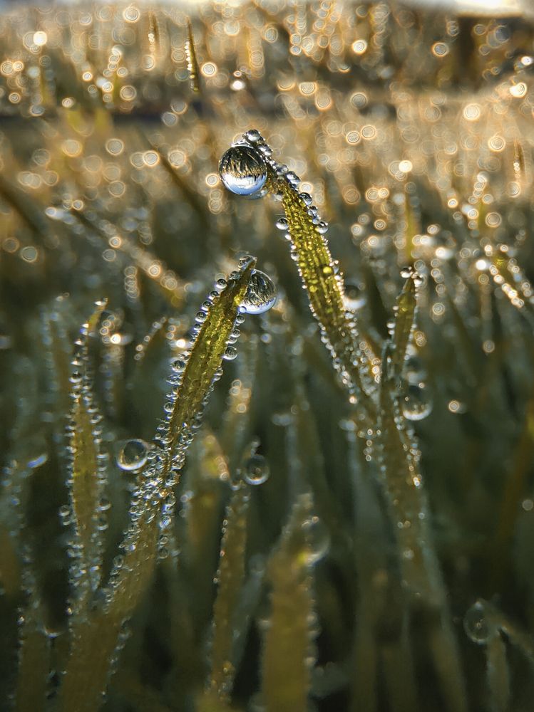 Photograph by Natalia Bolotenkova