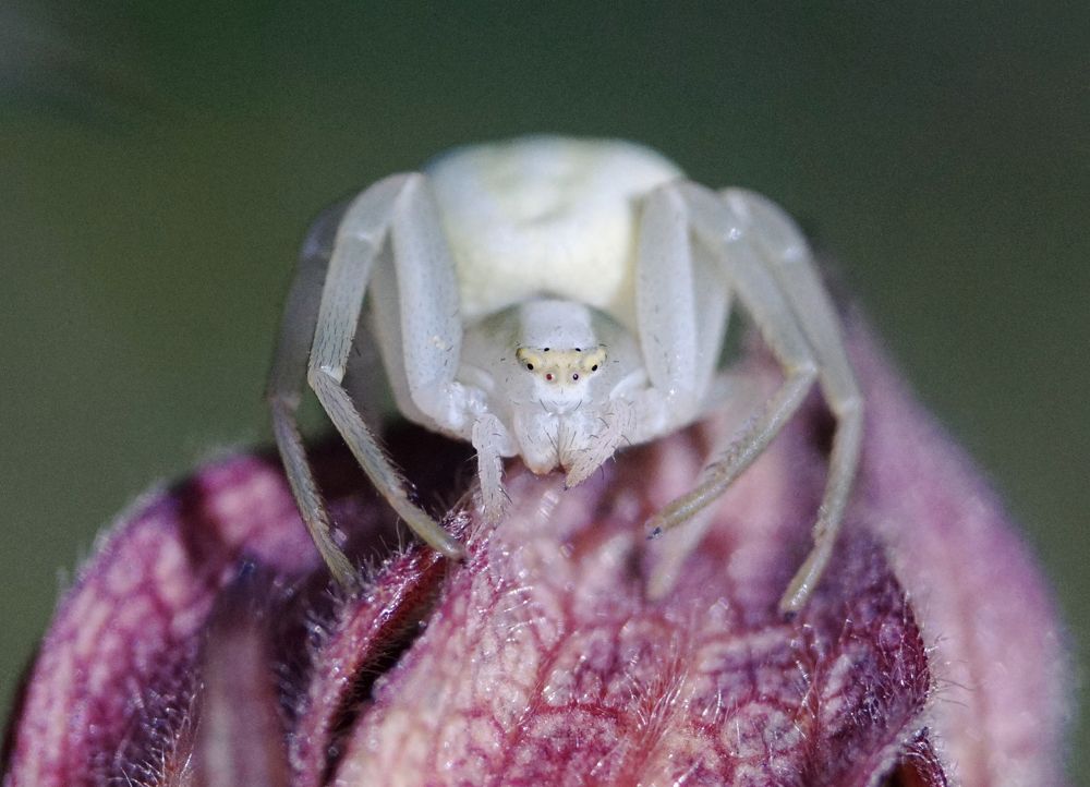 Photograph by Лена Максимкина