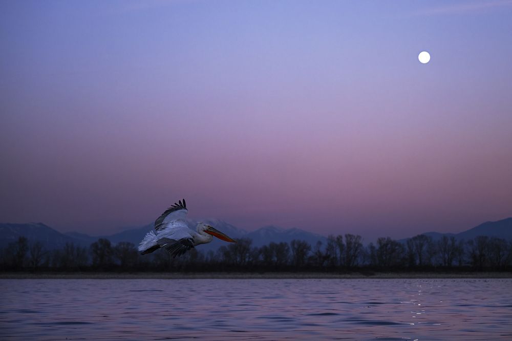 Photograph by Ernestas Balcikonis