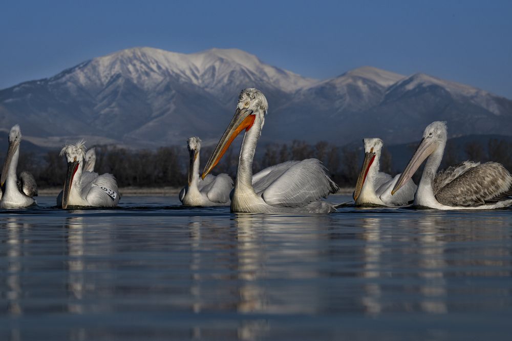 Photograph by Ernestas Balcikonis