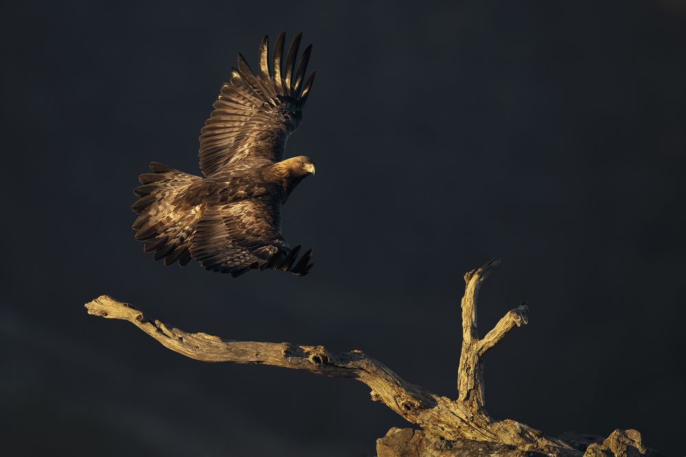 Photograph by Ernestas Balcikonis