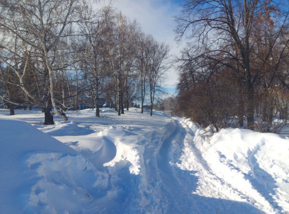 Photograph by Евгений Артемьев