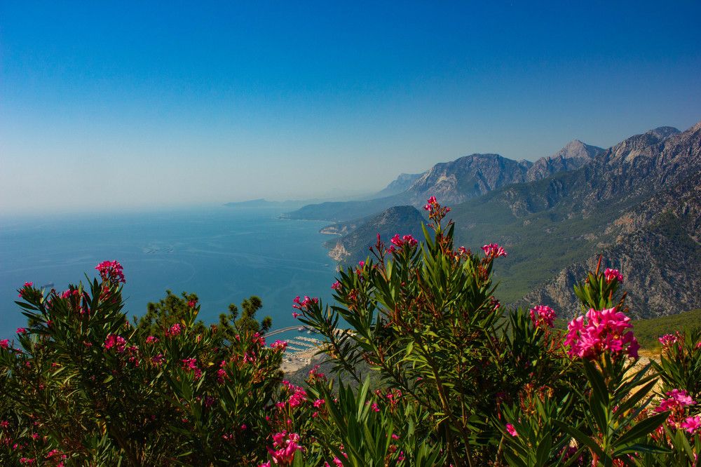 Photograph by Ekaterina Narozhnova