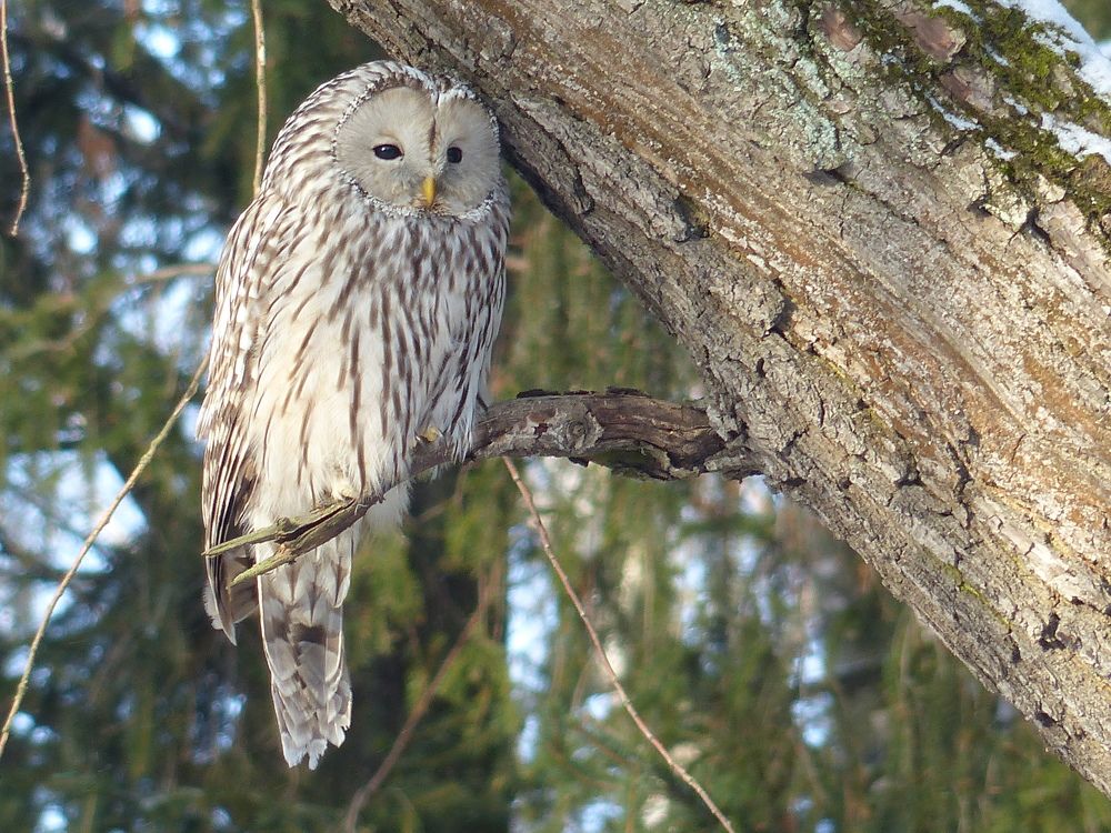 Photograph by Георгий Салюков