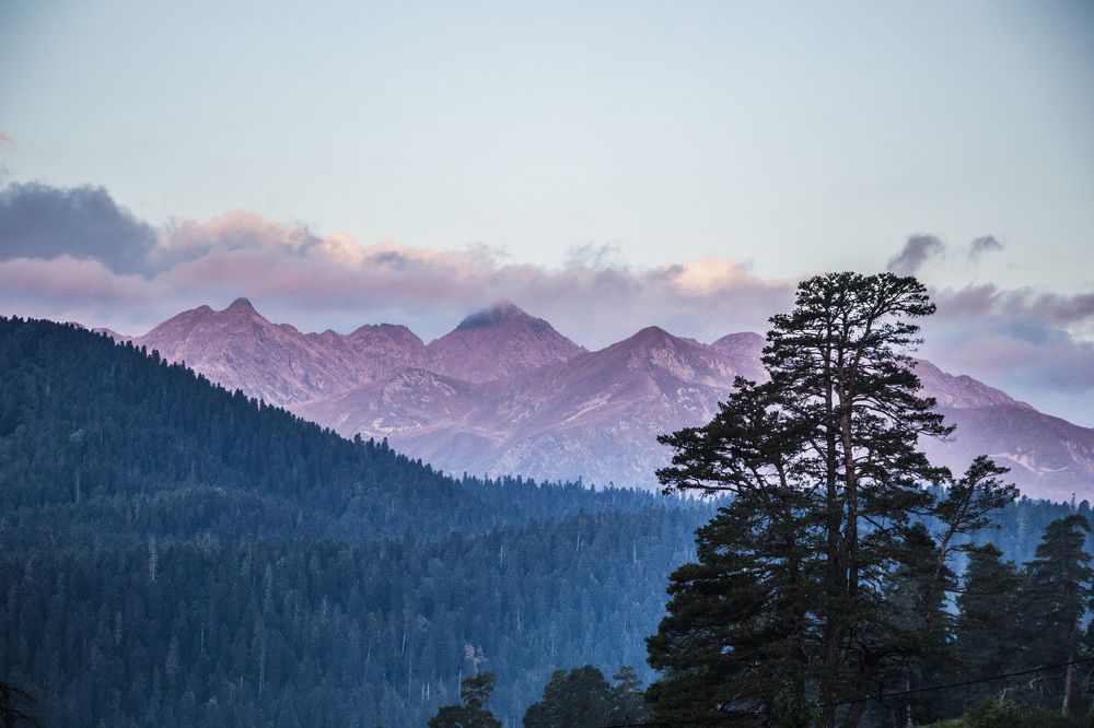 Photograph by Михаил Михайлов