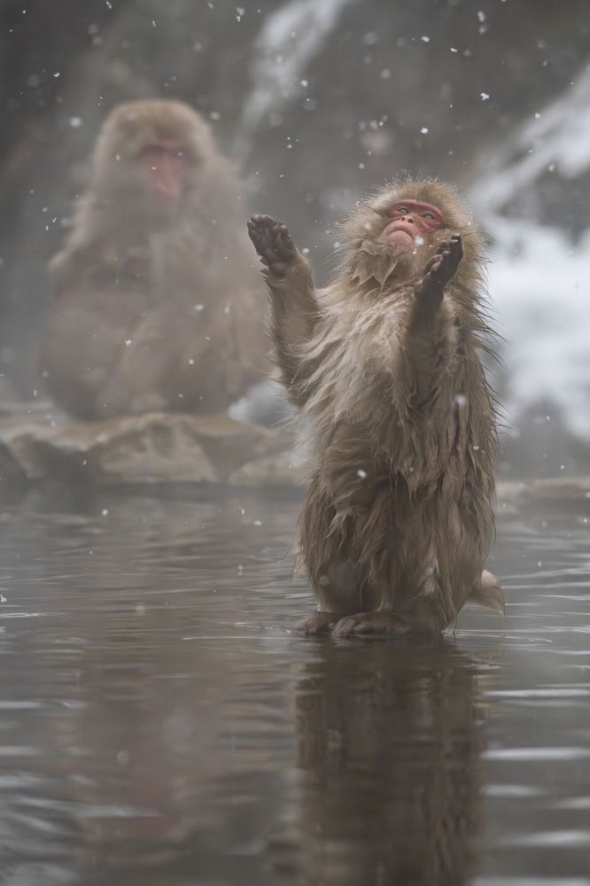 Photograph by Arie Katz