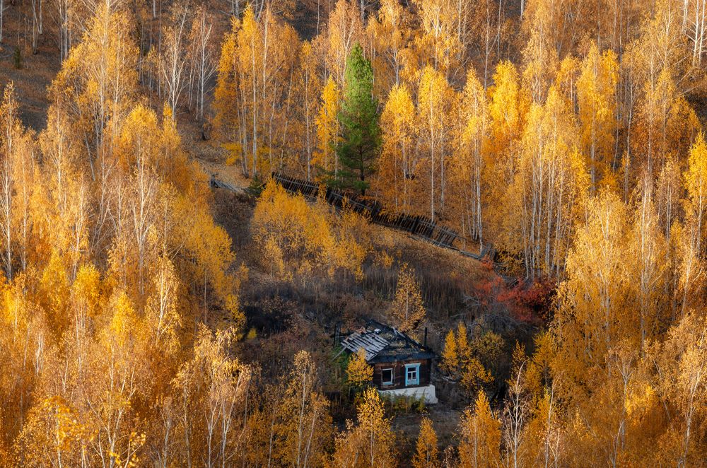 Photograph by Сидоров-Козин Павел