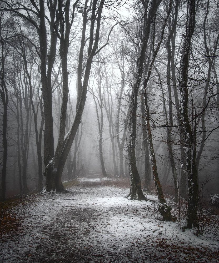 Фотография автора Шевченко Юрий