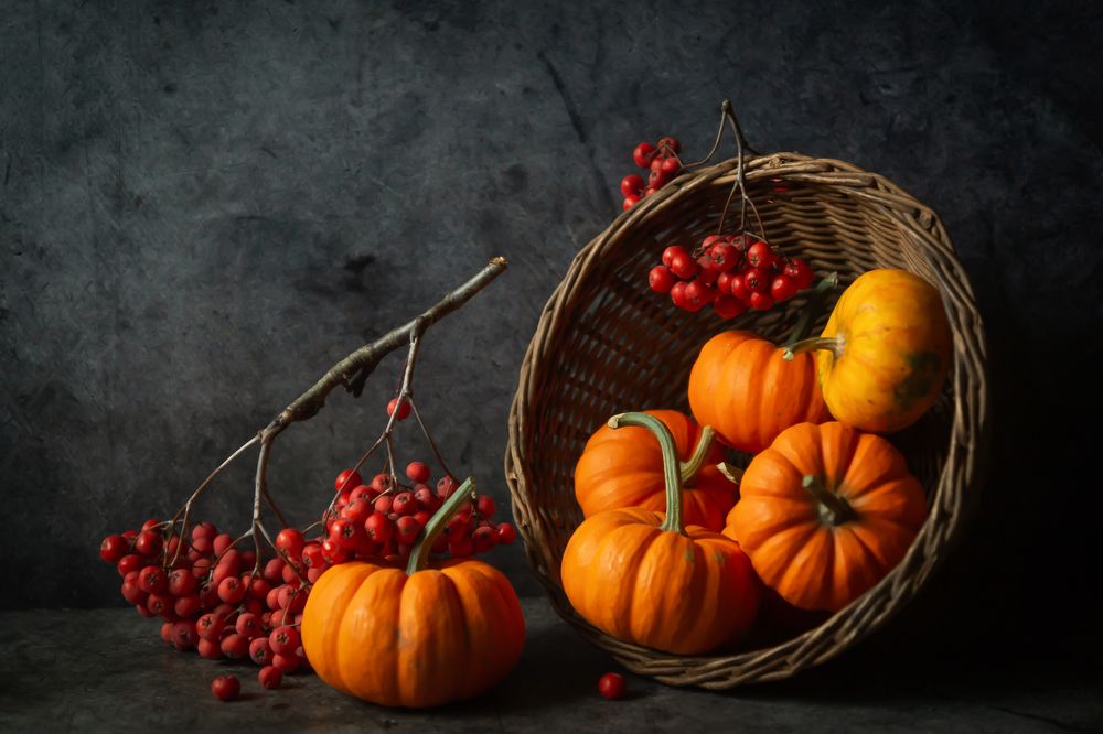 Натюрморт с тыквой.