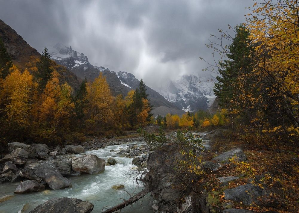 Фотография автора Шевченко Юрий