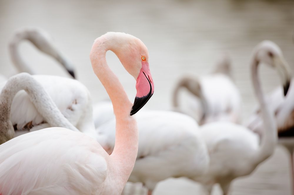 Photograph by Sanja Ristivojevic