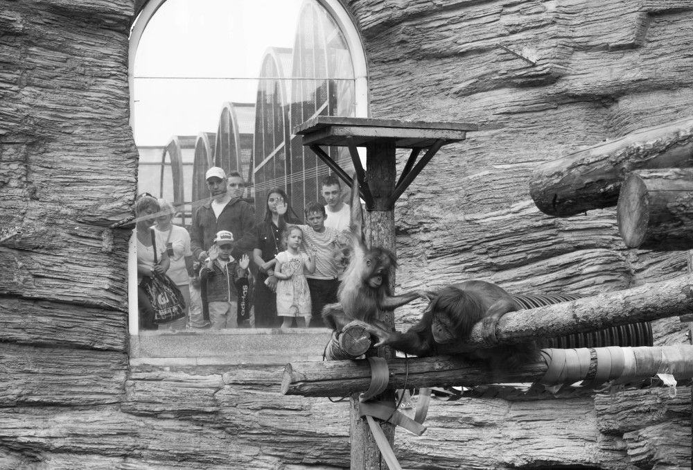 Photograph by Алена Менщикова