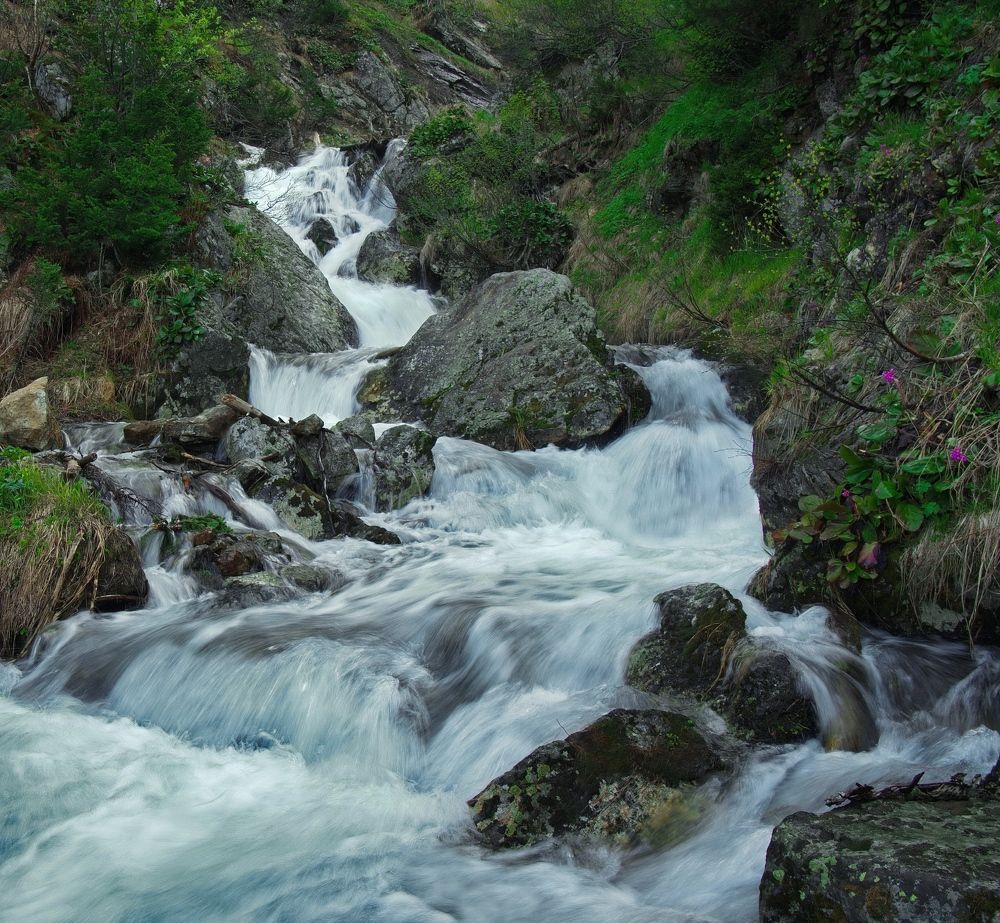 Фотография автора Андрей Ильков