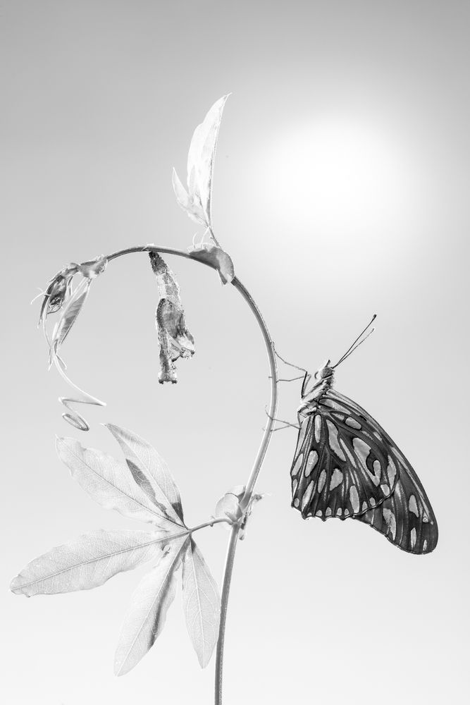 Photograph by Laura Reyes