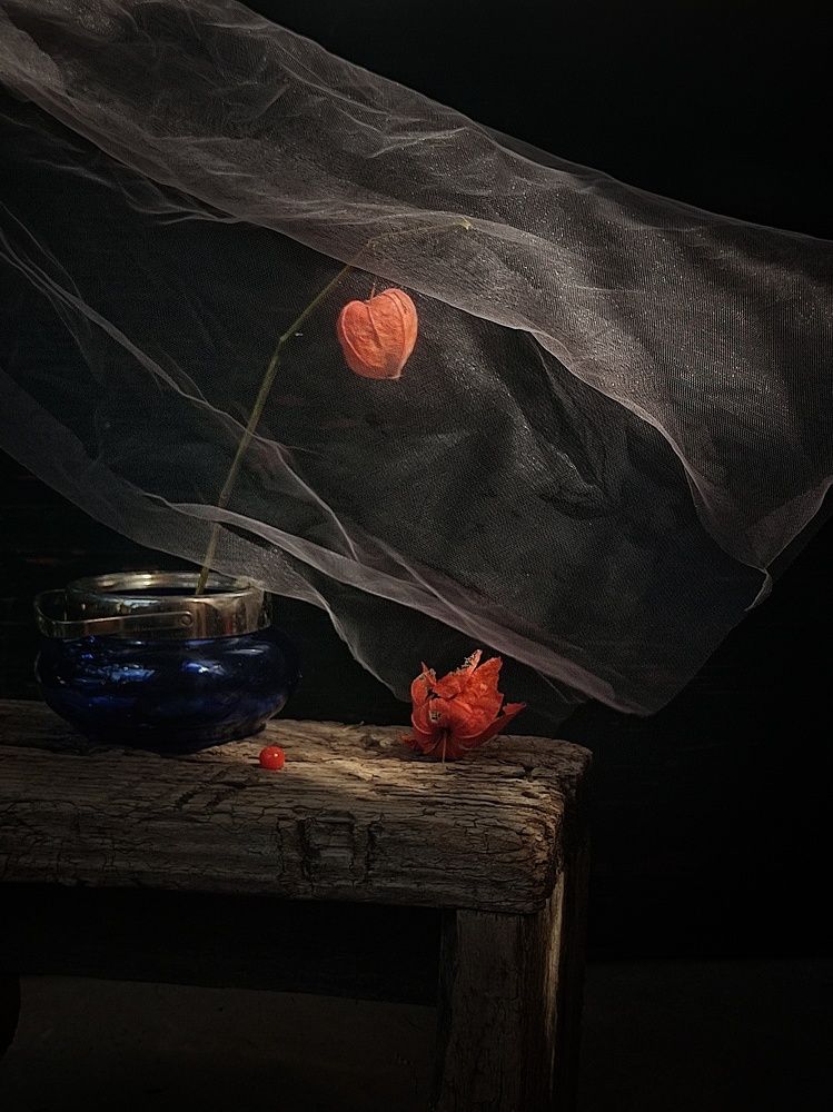 Фотография автора Инга Шевелёва