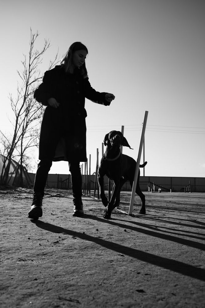 Фотография автора Максим Беднев