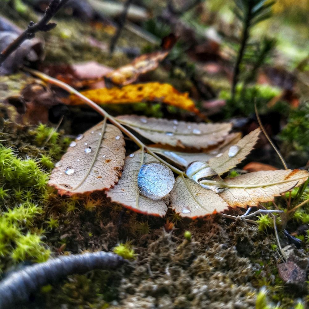 Фотография автора Ольга Сорокина