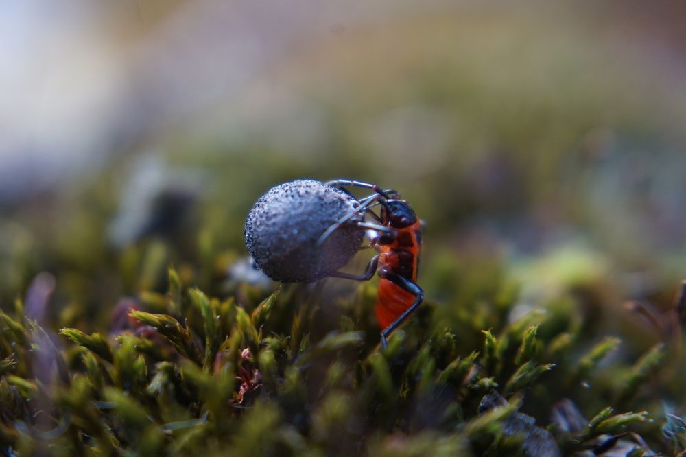 Photograph by Bozhidar Atanasov