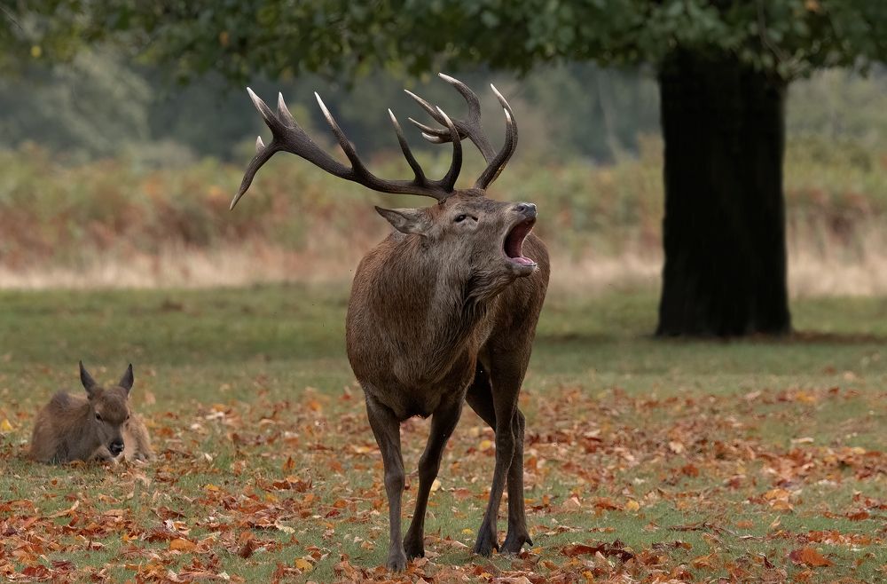 Фотография автора MARIA KULA