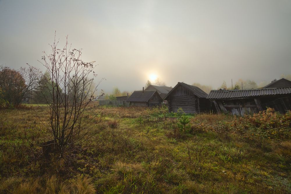 Photograph by Васенков Геннадий