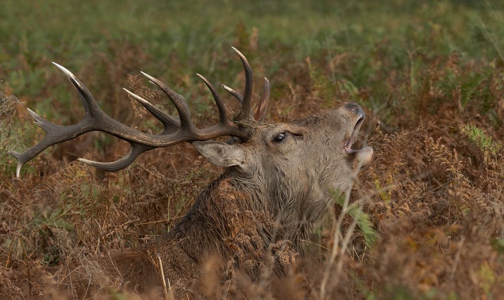 Фотография автора MARIA KULA