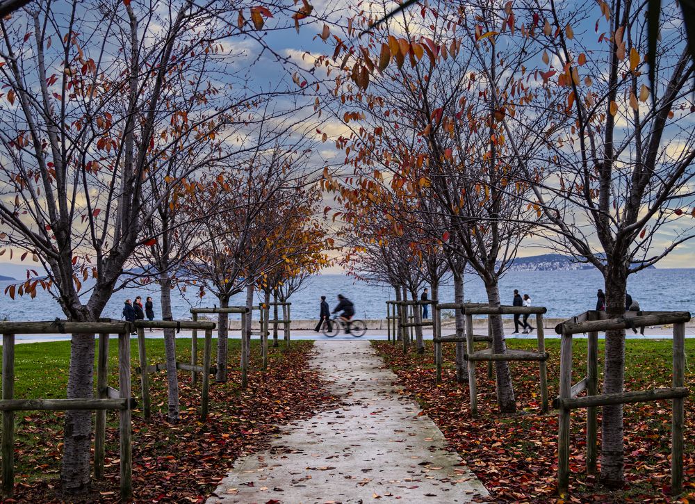 Photograph by Yusuf Ziya Ozcan