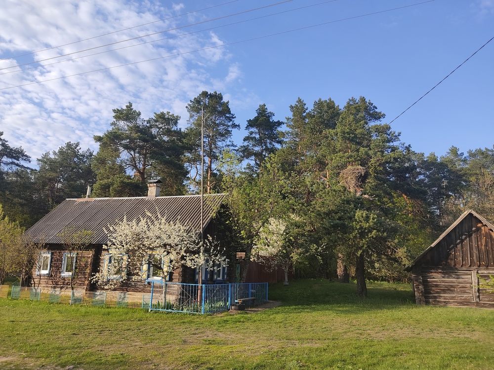 Фотография автора Наталья Елисеева