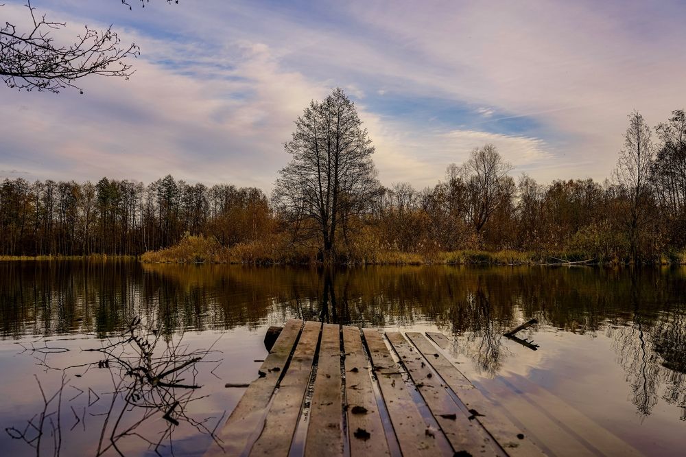 Photograph by Julia Andreeva