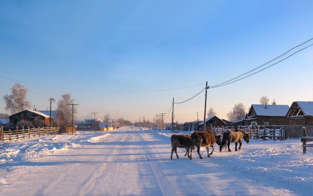 Photograph by Галина Искандарова