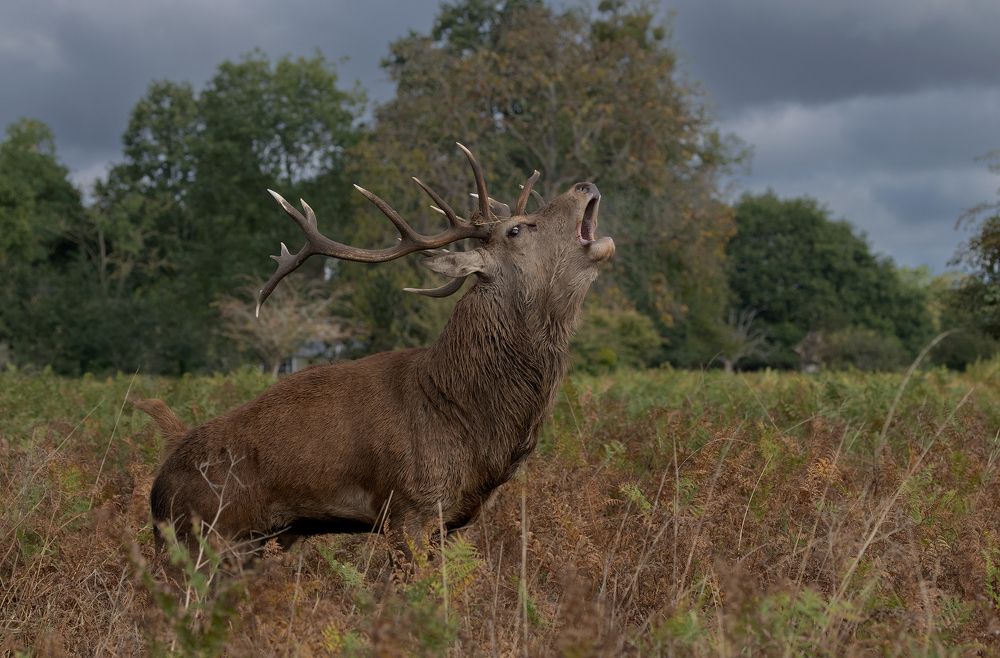 Фотография автора MARIA KULA