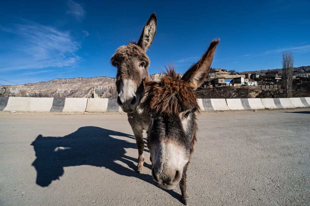Photograph by Юрий Гаврилов