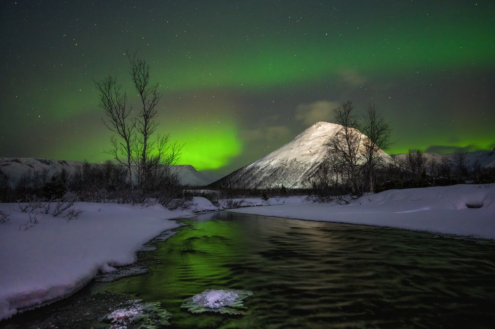 Photograph by Ирина Мошковская