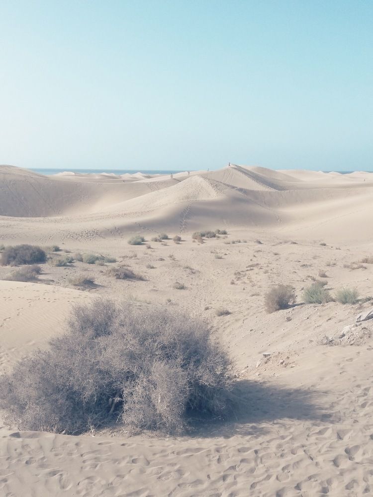 Photograph by Марина Георгиева