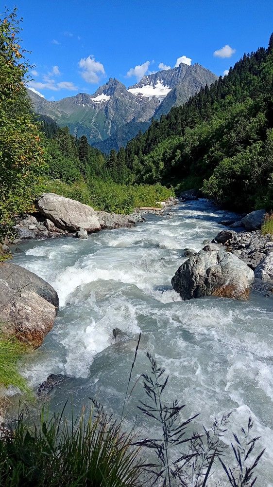 Photo #10271929