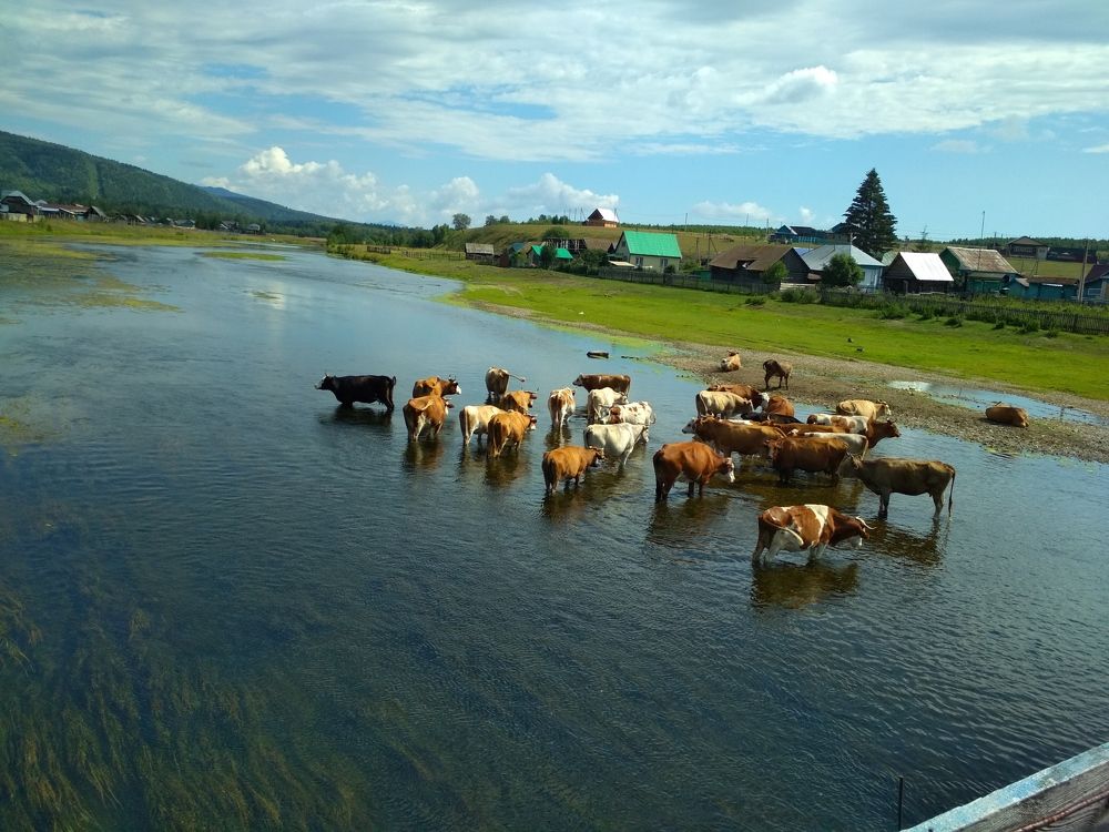 Photograph by Владислав Д