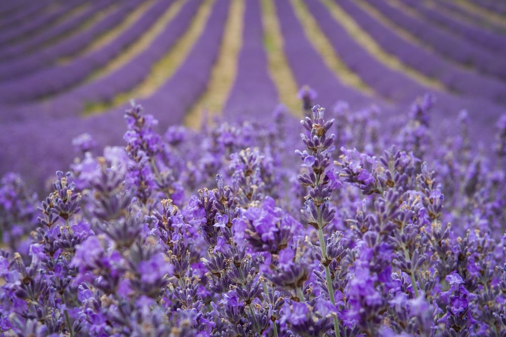 Photograph by Sergejs Barkans