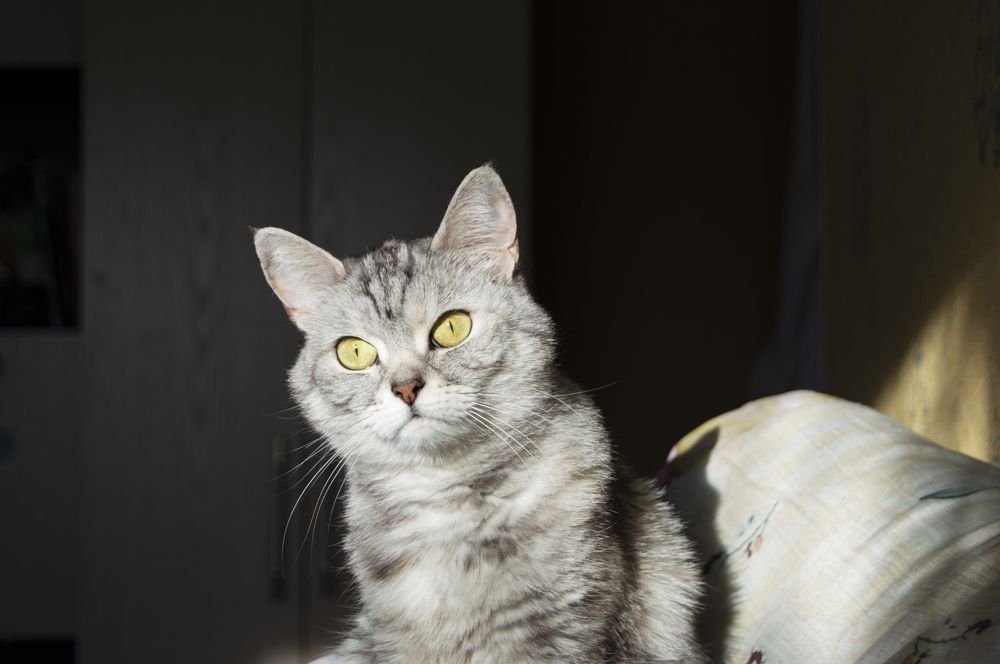 Photograph by Елизавета Гаранжа