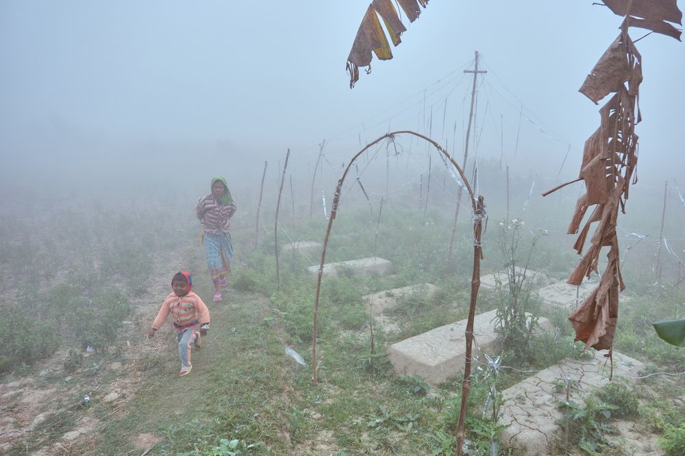 Photograph by Shohel Rana