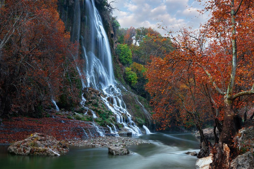 Фотография автора Arash Kaviani