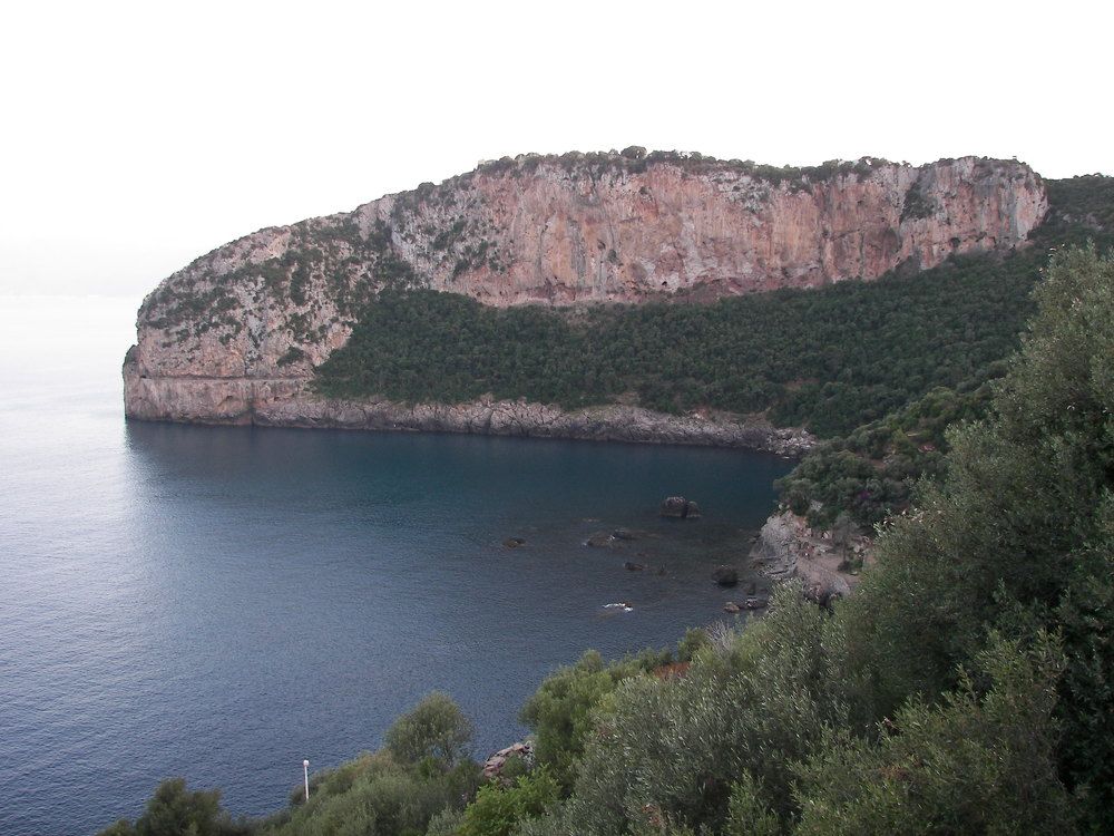 Photograph by Oukaci Khaled