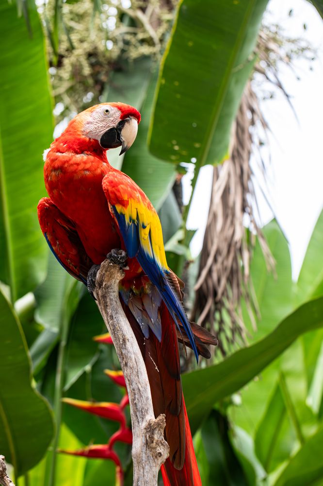 Фотография автора Мария Сурмачева
