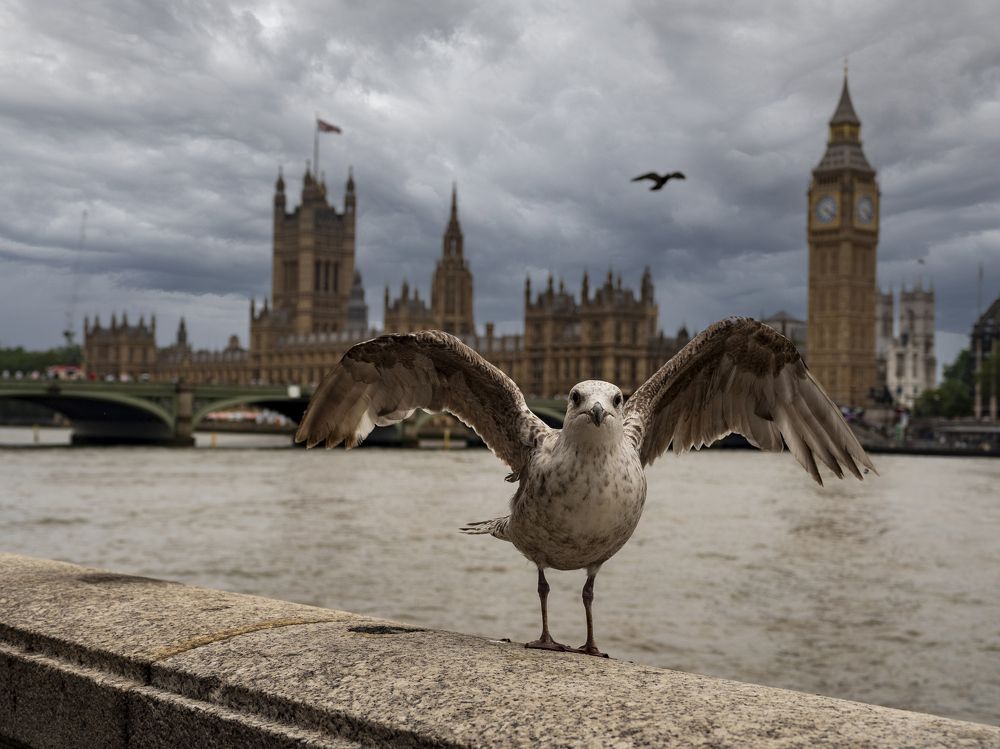 Photograph by Semion Ribinik