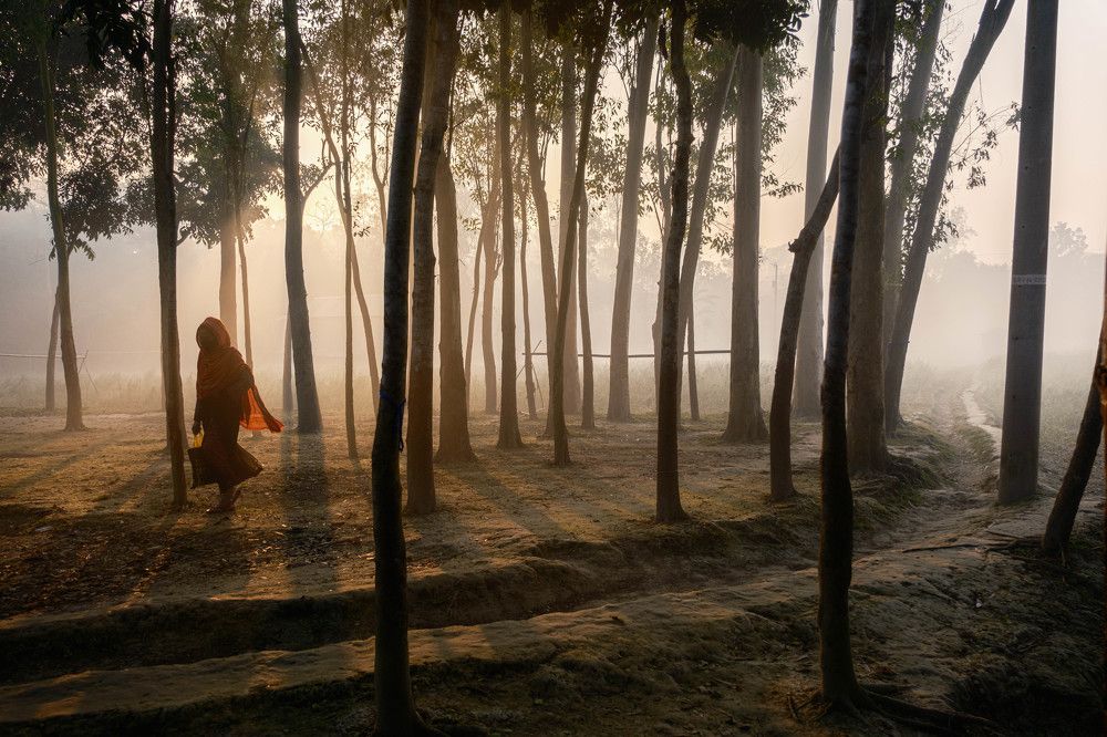 Photograph by Shohel Rana